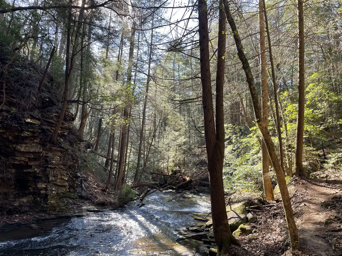 Sunlight through tall hemlocks over a rushing creek and a dirt trail beside a layered rock bluff, near the Fiery Gizzard north trailhead in Grundy Forest